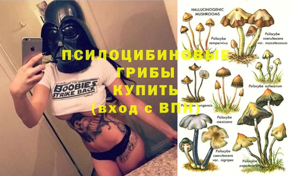 таблы Долгопрудный