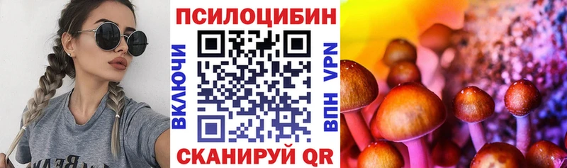 мега рабочий сайт  где найти   Болохово  Галлюциногенные грибы мухоморы 